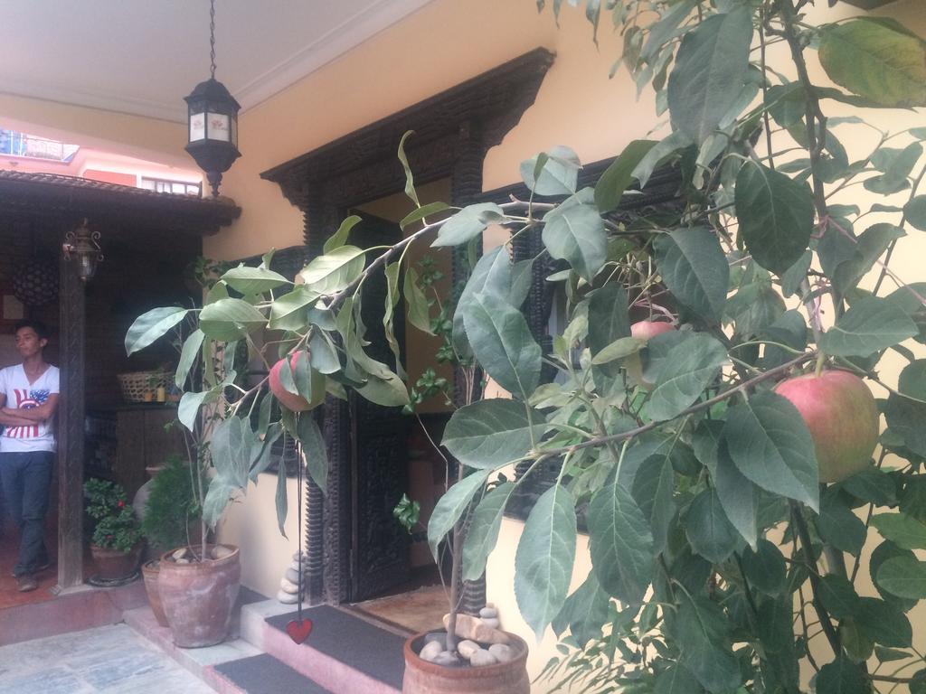 Hotel Mi Casa Kathmandu Bagian luar foto